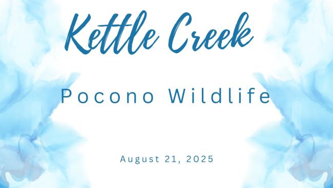 Pocono Wildlife Day