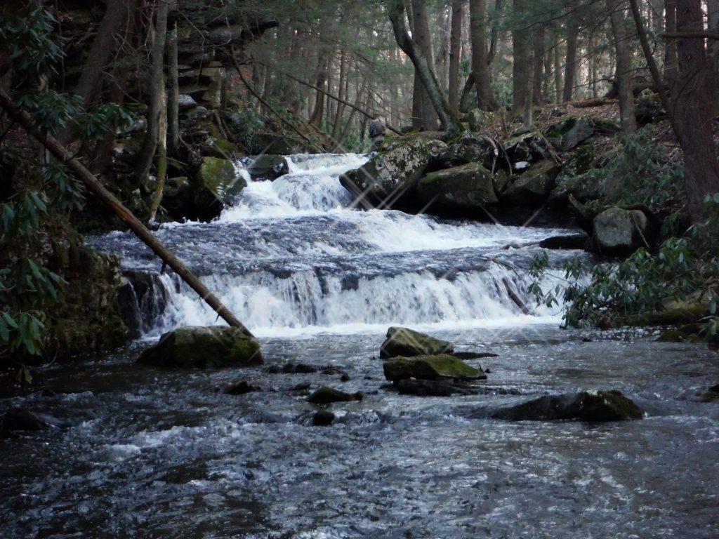 cranberry creek