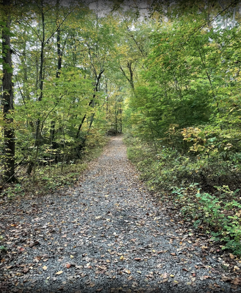 trail
