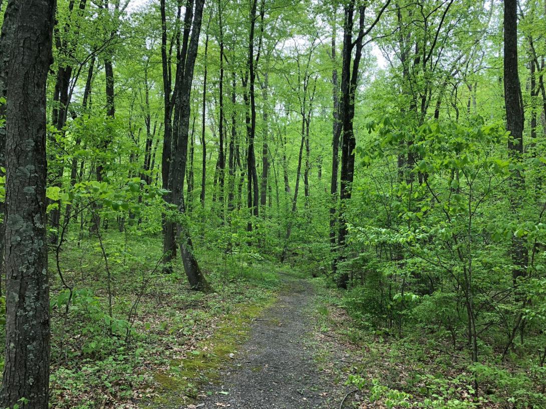 resica park